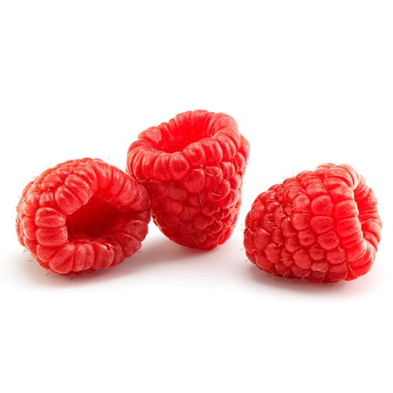 BRINGEBÆR 125 GR.