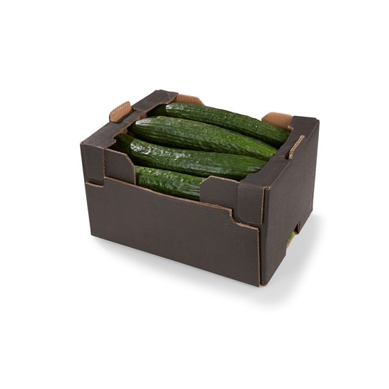 LAVPRIS AGURK 10 KG.